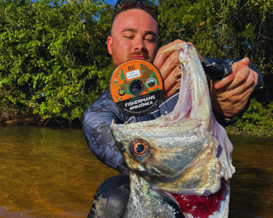Linha de Pesca 8 Fios: Tudo Que Você Precisa Saber Para Pescar com Segurança, Precisão e Confiança