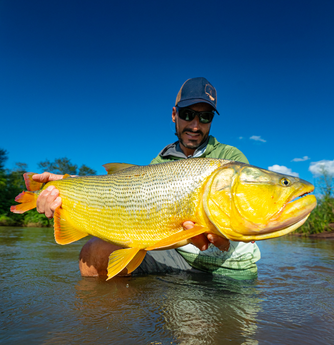 Qual a Melhor Linha de Pesca: Dicas Imperdíveis para Melhorar Sua Pesca!