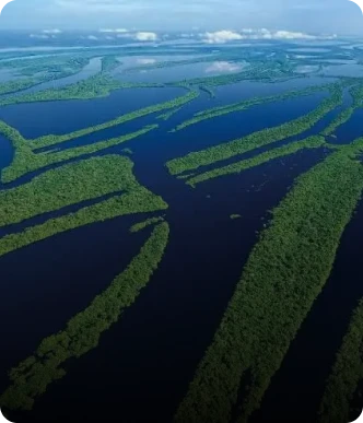 Rios da Amazônia
