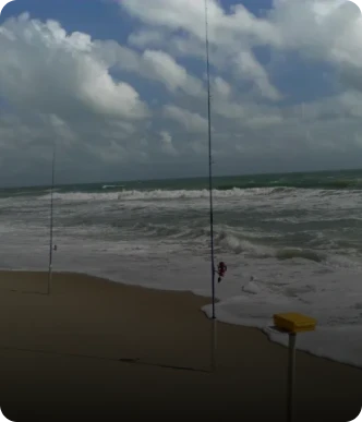 PRAIA & SURFCASTING