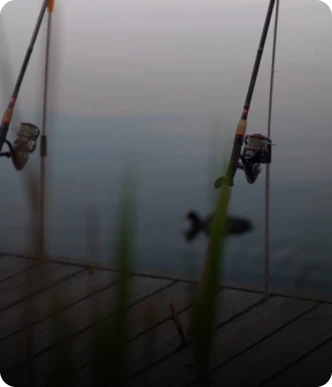 PEIXES DESCONFIADOS EM ÁGUA PARADA